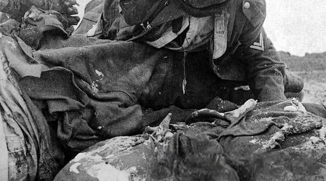 Die blutigen Schlachten an der Ostfront in Fotografien, 1942-1943