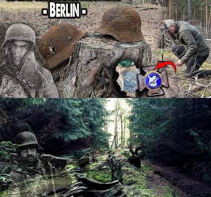Geheimnisse im Wald 🌲💀: In den Wäldern Berlins sind noch immer Relikte aus dem Zweiten Weltkrieg verstreut – was verraten sie?