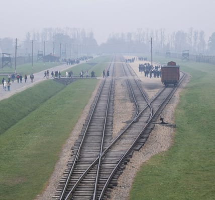 Ein Weg durch die Geschichte: Die Gleise von Auschwitz-Birkenau – Heute ein Ort des Erinnerns.