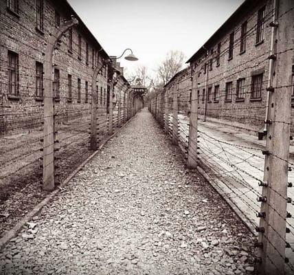 Blick in den Spiegel: Internationaler Tag des Gedenkens an die Opfer des Holocaust