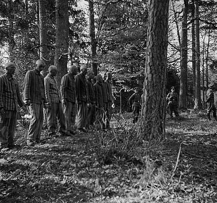 Ein dunkles Kapitel: Häftlinge aus Buchenwald und die Ereignisse im Wald bei Poppenhausen