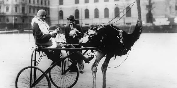 Schwarze Venus: Faszinierende Fotos von Joséphine Baker aus den 1920er und 1930er Jahren