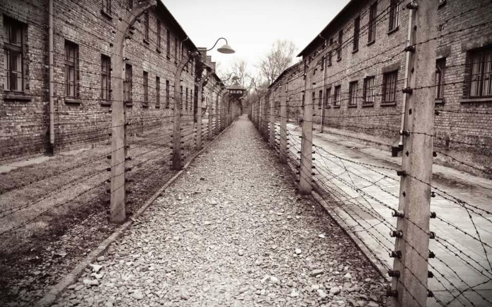 Blick in den Spiegel: Internationaler Tag des Gedenkens an die Opfer des Holocaust